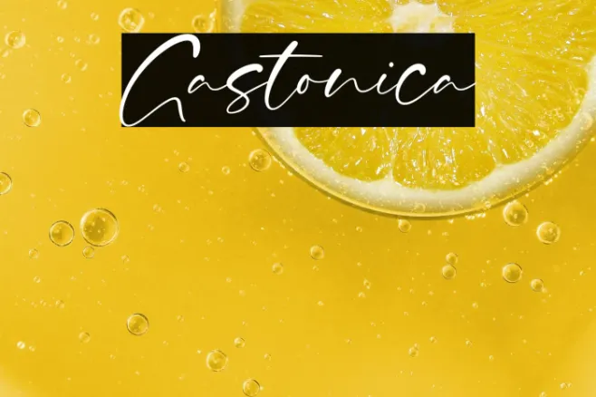 Gastonica Example 1