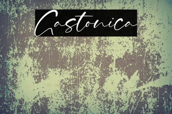 Gastonica Example 2