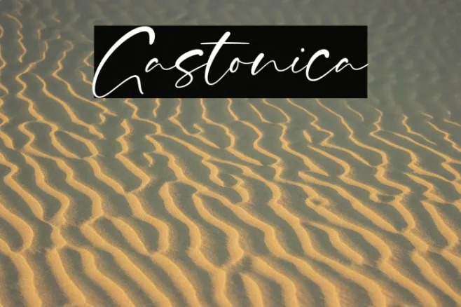 Gastonica Example 3