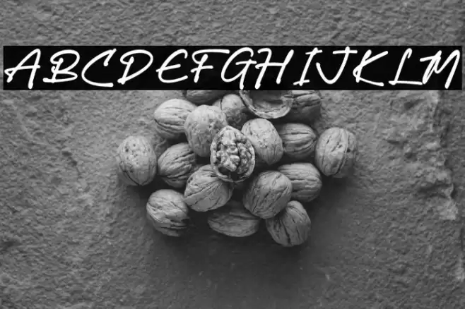 Gastony Signature Font examples