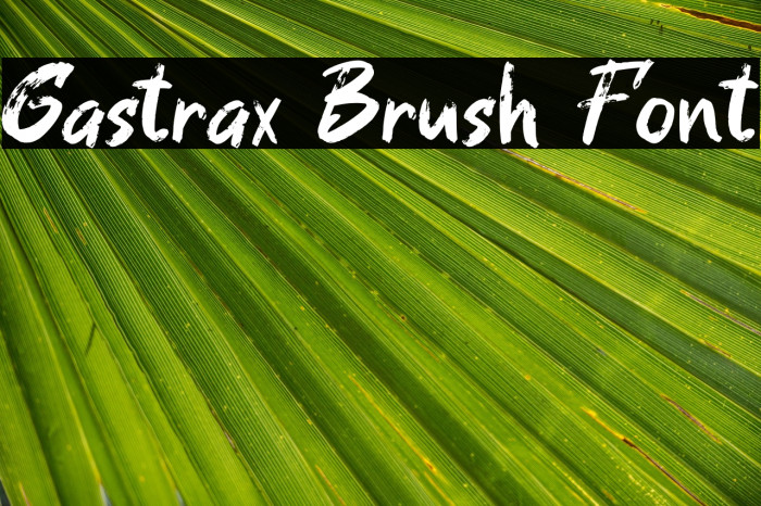 Gastrax Brush Font Example 1