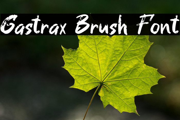 Gastrax Brush Font Example 3