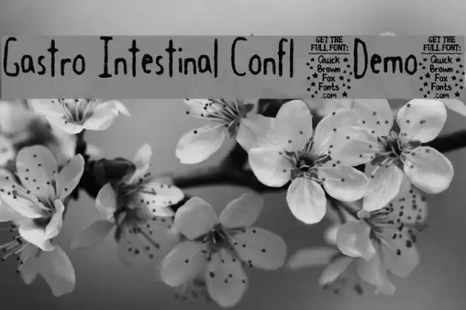 Gastro Intestinal Confl [Demo] Font examples