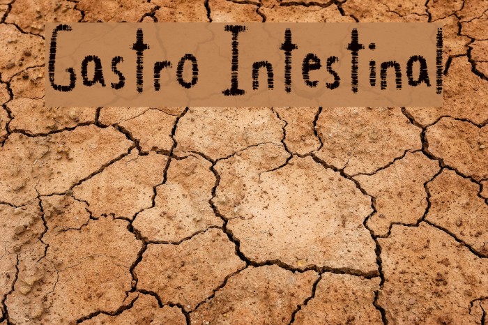 Gastro Intestinal Fuentes examples