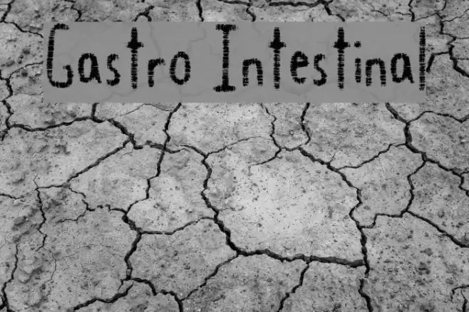 Gastro Intestinal Fuentes examples