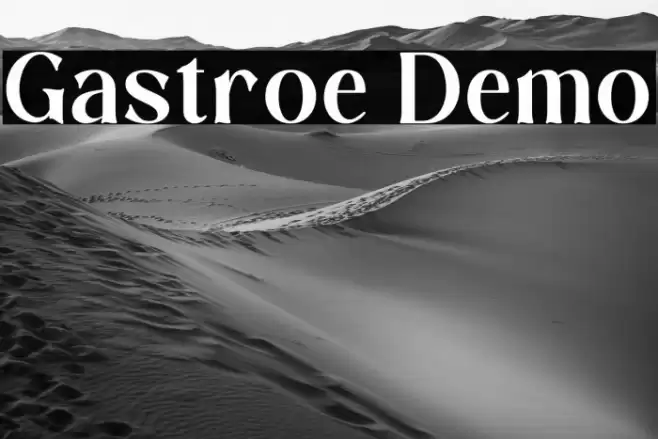 Gastroe Demo Fuentes examples