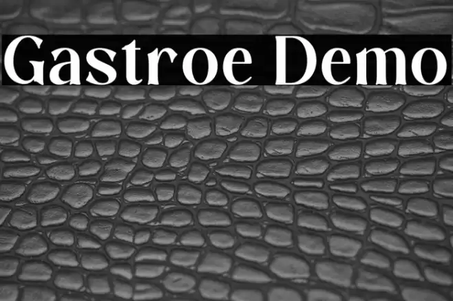 Gastroe Demo Fuentes examples