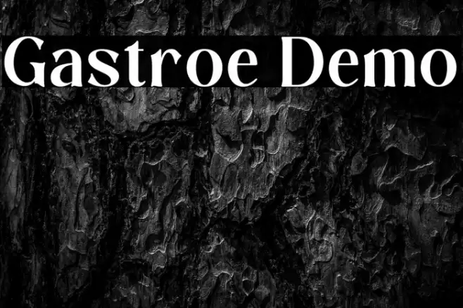 Gastroe Demo Fuentes examples