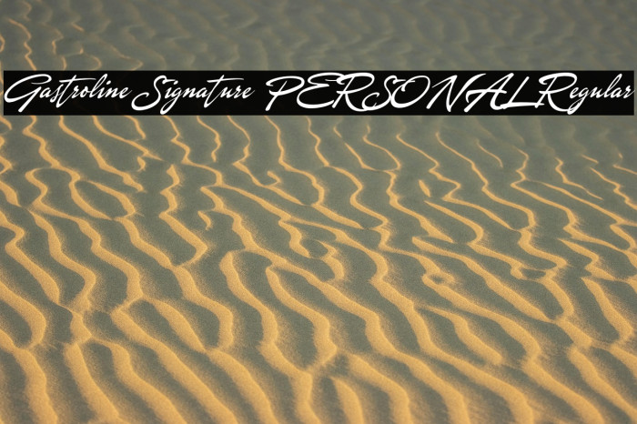 Gastroline Signature PERSONAL Regular Example 1