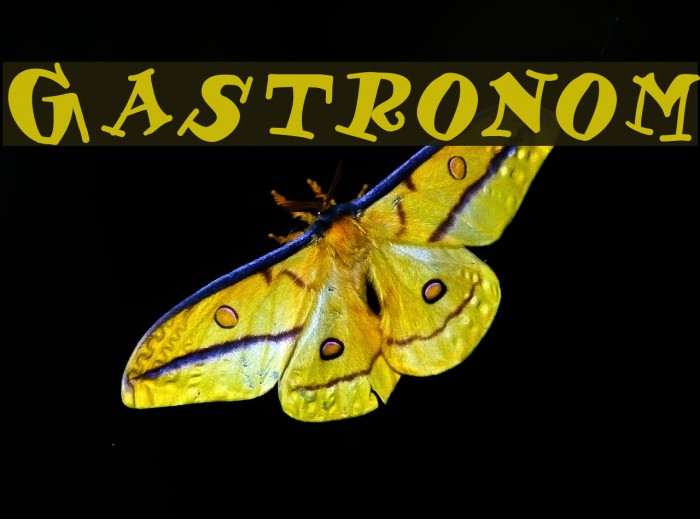 Gastronom Font examples