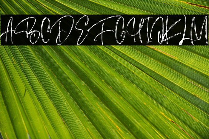 Gastronomes Free Regular Example 3