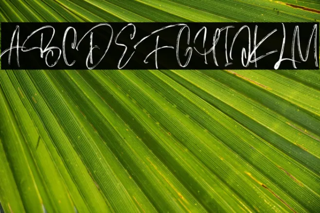 Gastronomes Free Regular Example 3