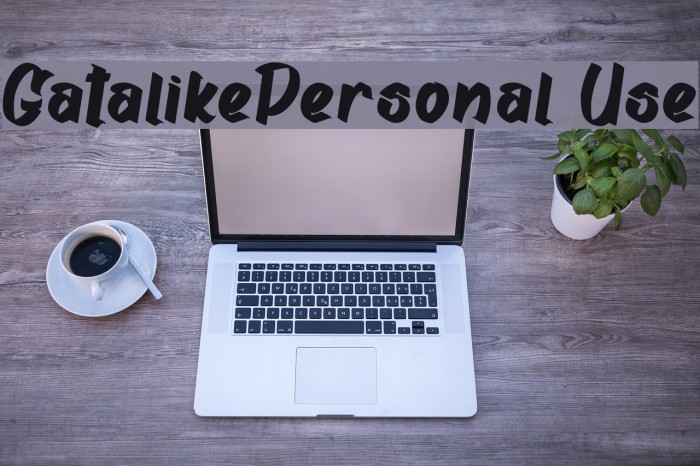 Gatalike_Personal Use Font examples