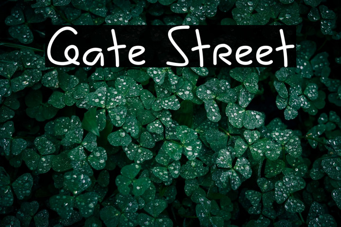 Gate Street Example 2