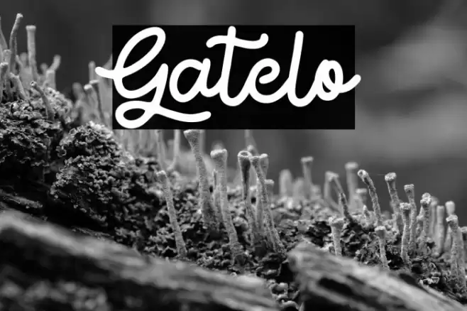 Gatelo Font examples