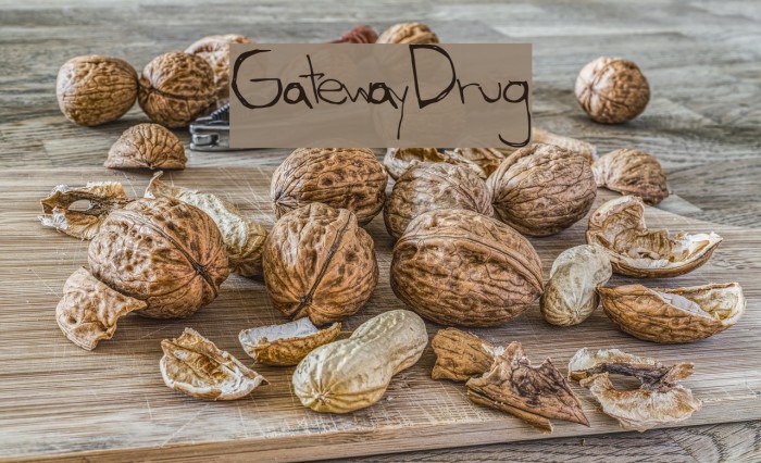 GatewayDrug Font examples