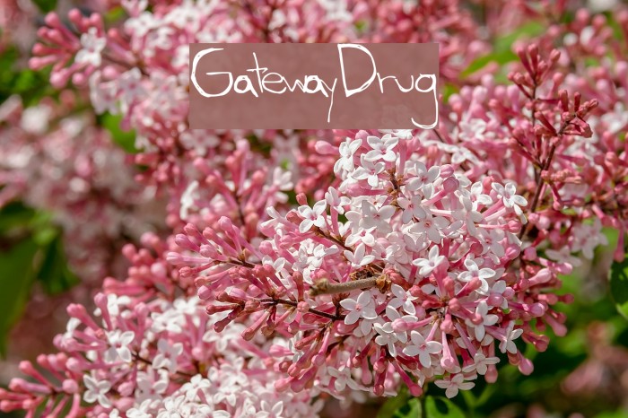 GatewayDrug Font examples
