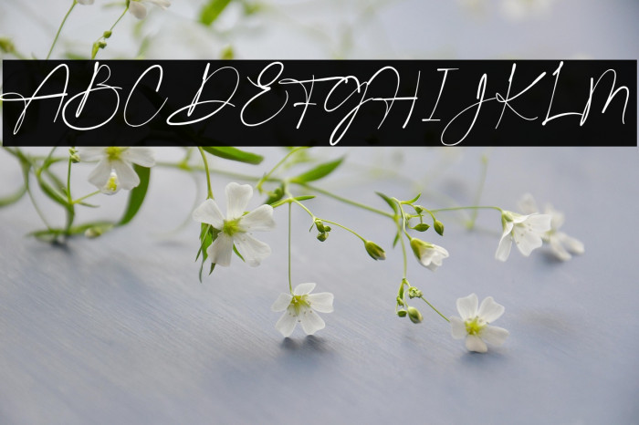 Gatha Script Example 1