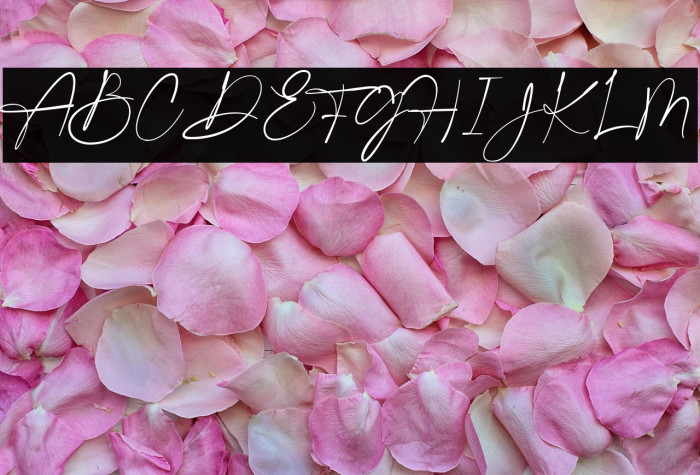 Gatha Script Example 3