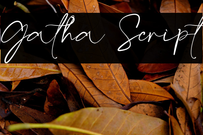 Gatha Script Example 2