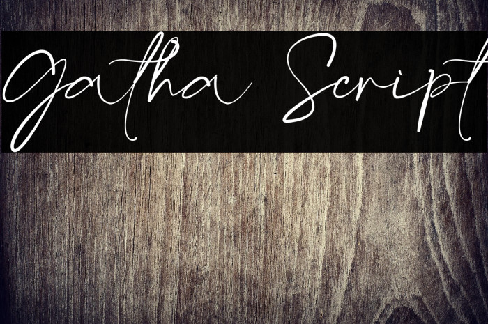 Gatha Script Example 3