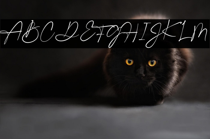 GathaScript Example 1