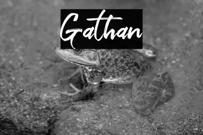 Gathan Font examples