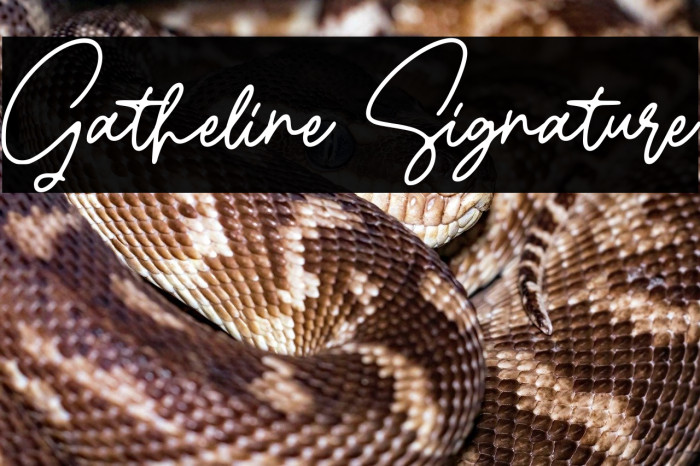 Gatheline Signature Example 3