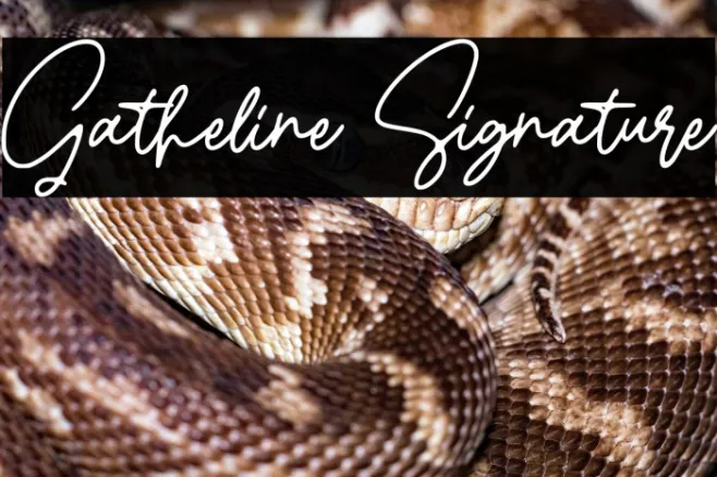 Gatheline Signature Example 3