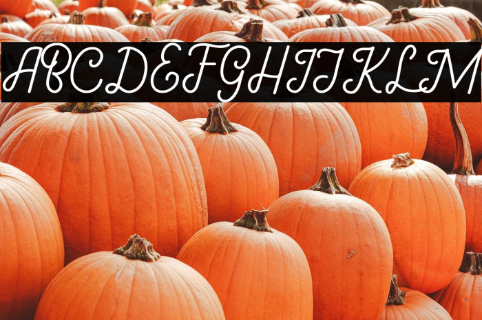 Gathenbury Typeface Example 2