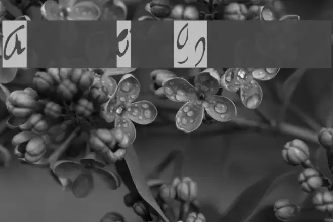 Gather Comprehensive lowercase Font examples