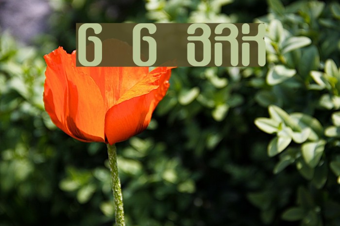 Gather Gapped BRK Font examples