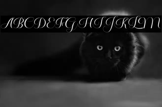 Gather Font examples