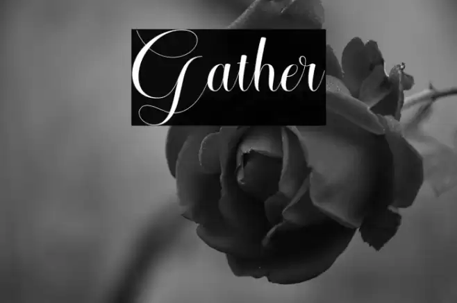 Gather Font examples