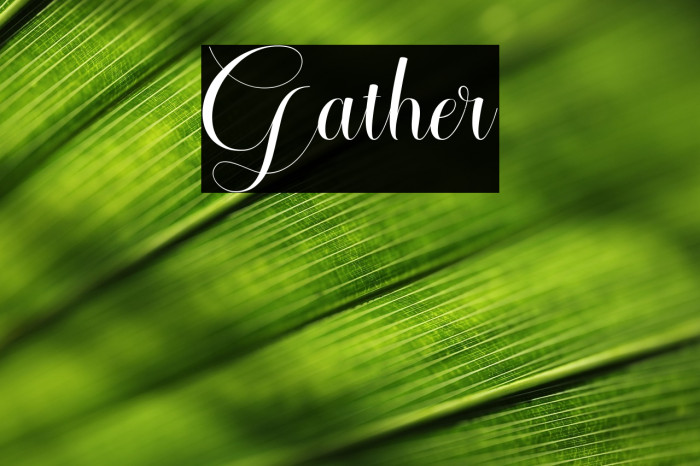 Gather Example 3