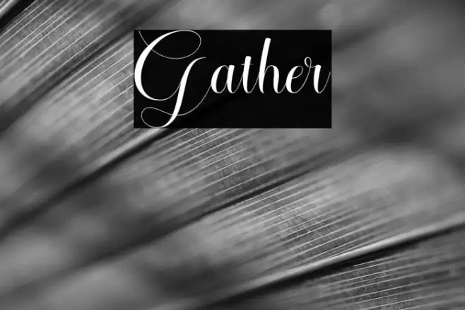 Gather Font examples