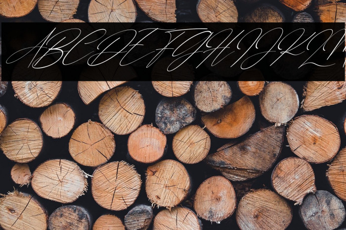 Gathering Day Italic Example 2