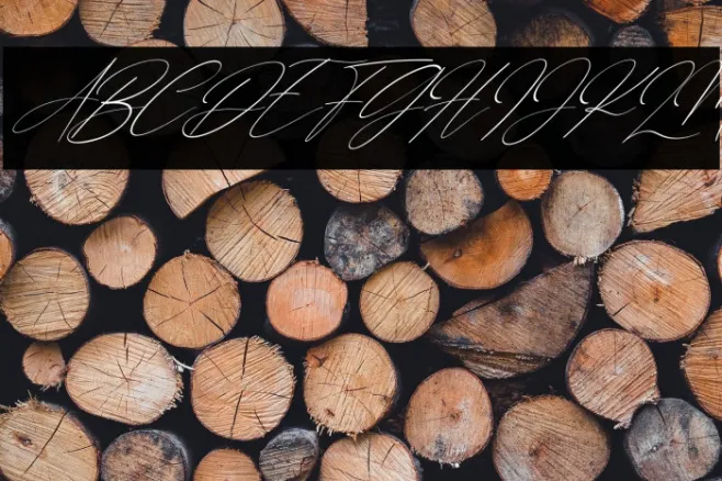 Gathering Day Italic Example 2
