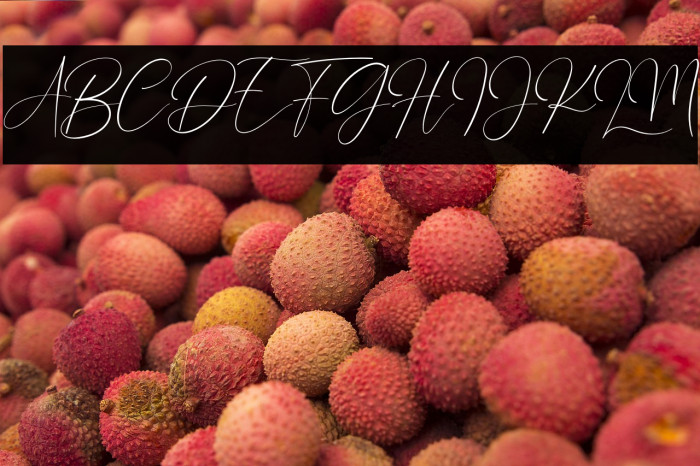 Gathering Day Example 3