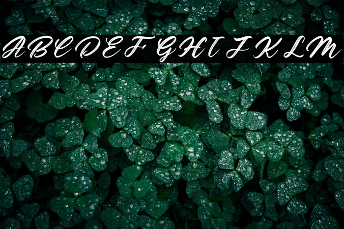 Gathering Personal Use Example 1