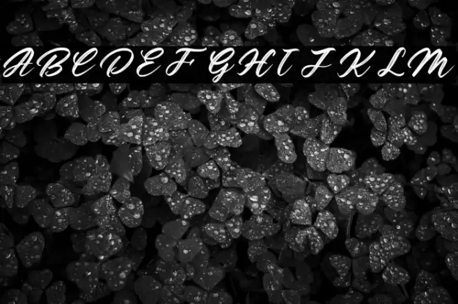 Gathering Personal Use Font examples