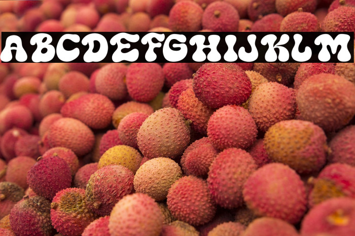 Gathrima Free Trial Example 2