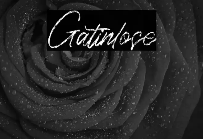 Gatinlose Font examples