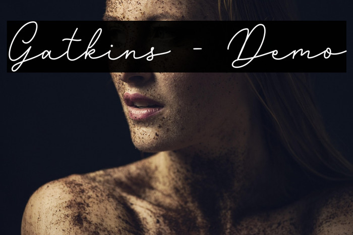 Gatkins - Demo Example 1