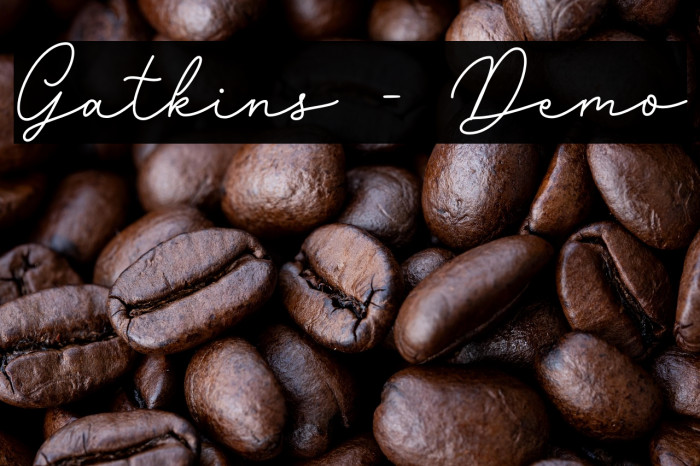 Gatkins - Demo Example 2