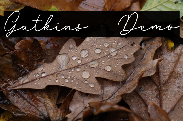 Gatkins - Demo Example 3