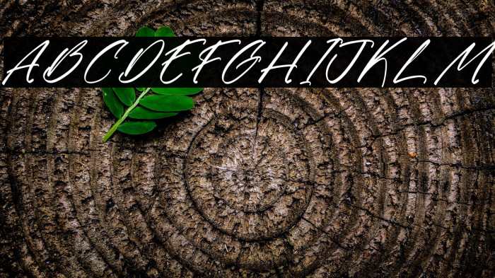 Gatmoley DEMO VERSION Italic Polices examples