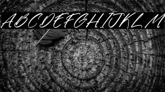 Gatmoley DEMO VERSION Italic Font examples