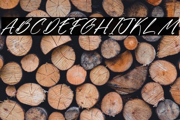 Gatmoley DEMO VERSION Italic Polices examples