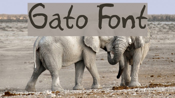 Gato Font examples